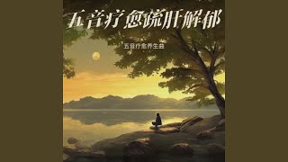 琴韵养心曲 (古琴)