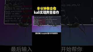 半分钟教会你用kali实现爬虫操作！#计算机 #网络安全 #hacker #黑客
