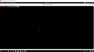 L6 (#2) Coding a simple port scanner