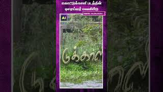 கொட்டுக்காளி படத்தின் டிரெய்லர் வெளியீடு | Kottukkaali  | AI News VTV | AI News Reader