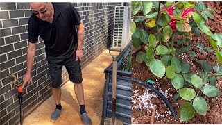 Preparation for our low maintenance garden