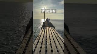 千葉旅行最高すぎる。　みんな千葉おいで