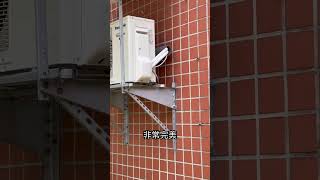 這樣裝冷氣遮雨棚才是正確的！