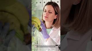 Humans Are 60% BANANA?! 🍌 (Mind-Blowing DNA Fact!)