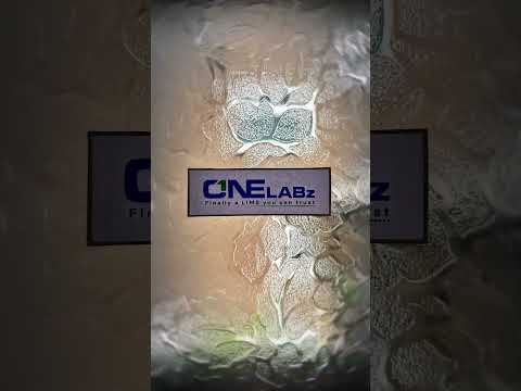 OneLABz Finaly a Healthcare software you can trust