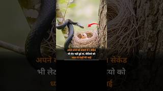 #motivation #heavenlbsnaa #upsc #motivational #motivationalquotes #shayri #yt #lbsnaa #sad #viral