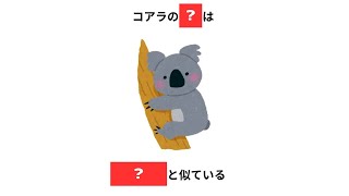 雑学 豆知識 面白い雑学 トリビア 日常 聞き流し