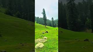 Sakoon ❤️#shortsviral #travel #mountains #beautifuldestinations #trendingshorts #