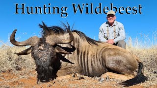Hunt Blue Wildebeest in South Africa