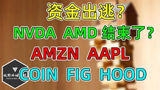 美股 资金出逃？多等一天！NVDA和AMD结束了吗？AMZN、AAPL财报！COIN、HOOD、FIG！