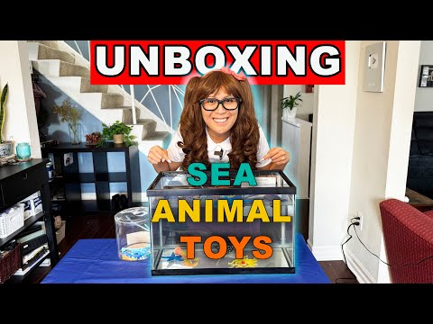 Unboxing Sea Animal Toys | Learn Sea Animal Names | Educational Videos for Kids