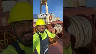 Dolphin 🐬 Aaa Gyee ☠️ #explorarpage #virelvideo #ship #trendingvideo #travel #dolphin