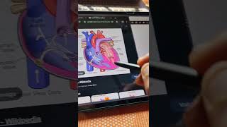 Samsung tab best feature #tabs8plus #tabs8ultra #foryou