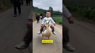 ⬆️点击链接测试 你的坐骑是什么？