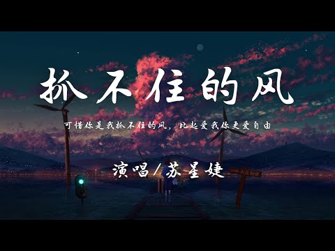 苏星婕 - 抓不住的风 『可惜你是我抓不住的风，比起爱我你更爱自由。』【動態歌詞】♪