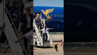 How One Dog’s Instincts Prevented a Major Plane Disaster #shorts