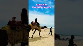 Camel Ride#malpebeach#karnataka#manglore #shorts#viralvideo#travel#india 🌤️