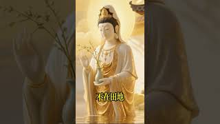 福氣不是求來的#佛法 #佛教 #修行 #智慧 #因果 #佛家 #佛學知識 #佛學智慧 #修心修行 #佛教文化 #禪悟人生