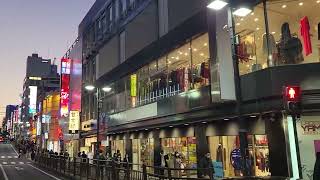 季節料理なか一🐟️探し(相鉄線横浜駅１階改札口～きそば鈴一～吉野家～季節料理なか一)#相鉄 #横浜 #鈴一 #吉野家 #なか一