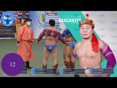 Монгол үндэсний бөхийн мэргэжлийн лиг