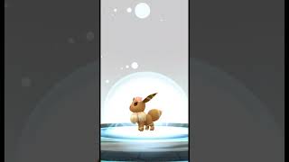 Eevee Evolution Into Espeon In Pokemon Go | #eeveelutions #shorts #pokemongo #espeon #eeveeevolution