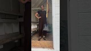 CHICKEN CHORES: Cleaning Out The Chicken Coop #backyardchickens #chickencoop