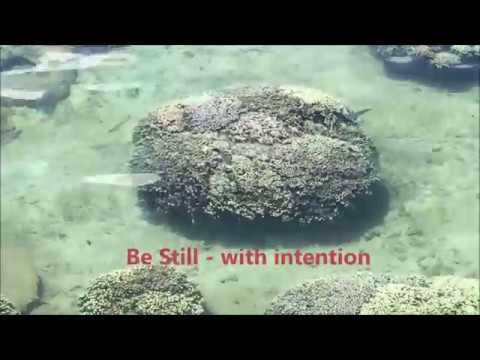 Being Still