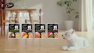 シーザー®自然素材パウチ 30s