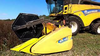 New Holland CX 8070 Combine Harvester, Spring Beans Harvest - September