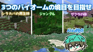 ランダムに出る3つのバイオームの境目を見つけるまで終われません【Akira視点】