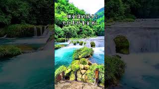 《蛤蟆先生去看心理師》#心靈成長好書分享 ｜三種自我的發現與和解過程｜心靈成長必讀 #說書短影片 #心靈成長 #知識型內容 #文學短片