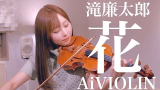 花/滝廉太郎【Violin Covered by Ai】