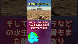 世界で最も危険な海岸【スケルトンコースト】 #shorts