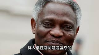 让教廷再次伟大？别做梦了！| 教宗选举背后的深教国宫斗剧