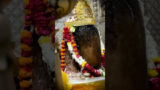Takdir Muje Le Chal Mahakal Ki Basti Mein By Shahnaaz Akhtar #ujjainmahakal #new #mahadev #youtube