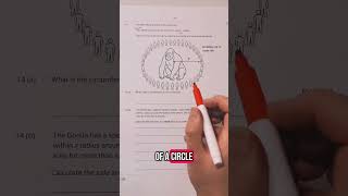100 men vs Gorilla on 2025 Exam Paper #mathshack #100menvs1gorilla #maths