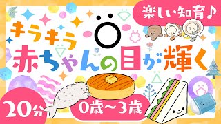 【赤ちゃんが泣きやむ】赤ちゃんの目が輝く🌲ö│泣き止む🌈笑う☀️喜ぶ♫│こどものうた│乳児・幼児向け知育番組│0歳/1歳/2歳/3歳【アニメ】