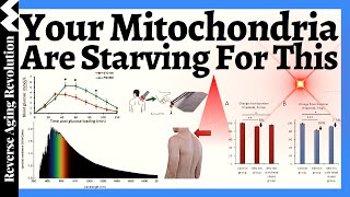 Feed Your Mitochondria or Age Faster! Your Mitochondria Are Starving for THIS!