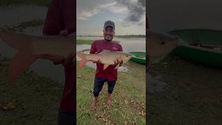 A2Z fishing 😱Ball set 🪝fishing bait #shorts #fishing #tamilfishing #ballsetfishing #fishingbait