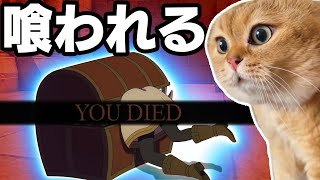 【Twitter万バズ】猫で絶対にわかるダクソあるある.exe　#猫マニ　#猫ミーム