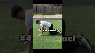 Top 5 exercises for EDS #eds #edsawareness #ehlersdanlos #pt #eccentric