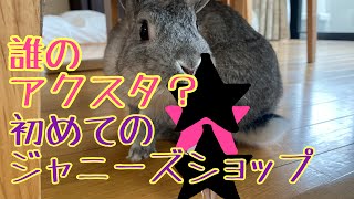 予想不可。ジャニーズショップ、アクスタ購入品！