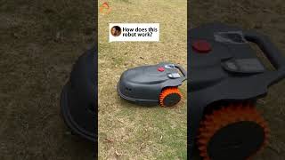Altverse robot lawn mower #customlawnmower #robotmower #customlawnmower #mowerfortinylawn