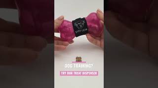 Tatty Head 2-in-1 Dog Treat Dispenser and Recall Training Aid Demo