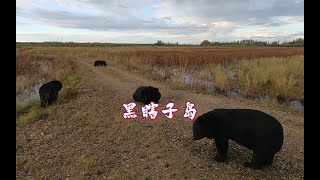 跟着镜头五分钟快速游遍黑瞎子岛，一起到最新收回的土地上看一看
