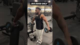 SHOULDER FLYS‼️ #godfirst #shoulderworkout #shoulderexercises #shoulderworkoutwithdumbbells