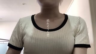 【切ない】枯れそうな恋 女子学生が歌ってみた #枯れそうな恋 #鈴木鈴木