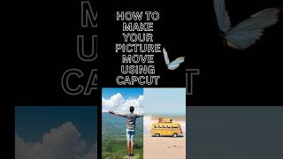 HOW TO MAKE YOUR PICTURE MOVE USING KEYFRAME IN CAPCUT