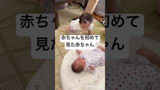 The baby and baby meeting is too cute 👶 #baby #friend #0 years old #10 months old #newborn #cute