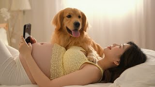 記錄可愛寶寶的每一天~#萌宠出道计划 #funny #饲养员日常 #cute #goldenretriever #baby #animals #dog #pets #newborn